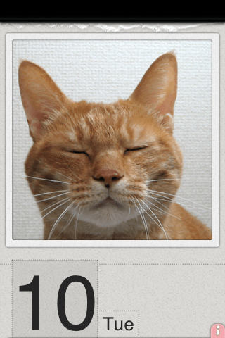 かれんにゃー2 みんなの猫の日めくりカレンダースクリーンショット