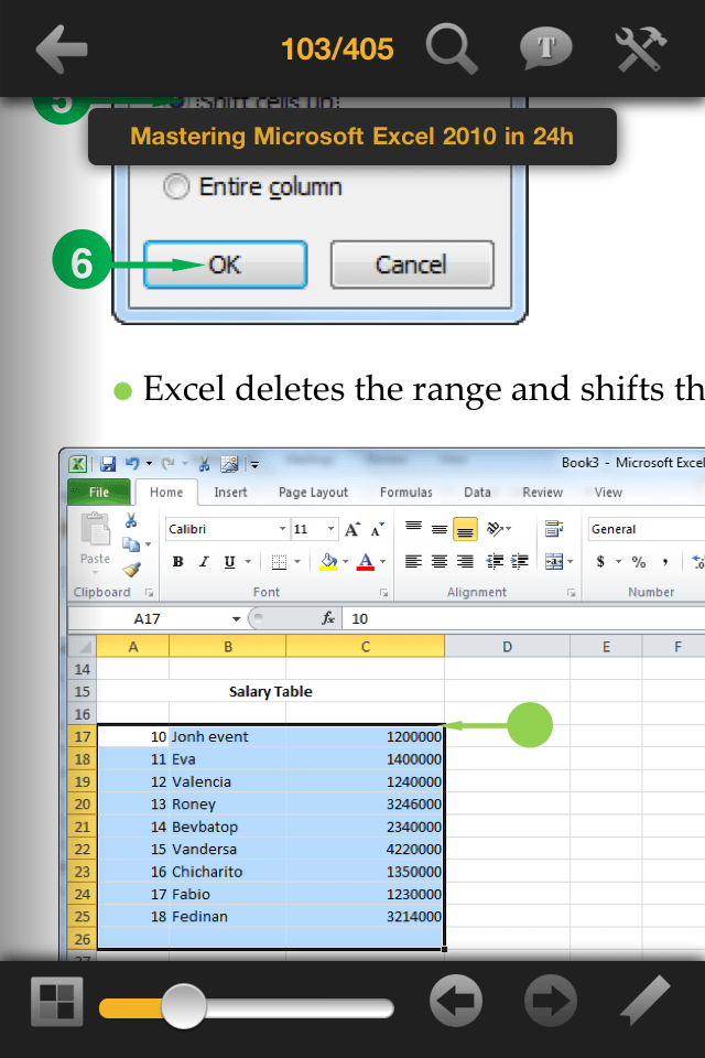 Microsoft Excel 2010 – Mastering in 24hスクリーンショット