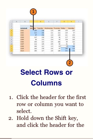Microsoft® Excel® 2010 Plain & Simpleスクリーンショット