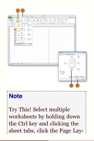 Microsoft® Excel® 2010 Plain & Simpleスクリーンショット