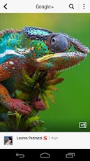 Flipboard: あなたのソーシャルニュースマガジンスクリーンショット